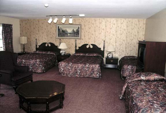 Ivy Rose Motor Inn Windsor Bagian luar foto